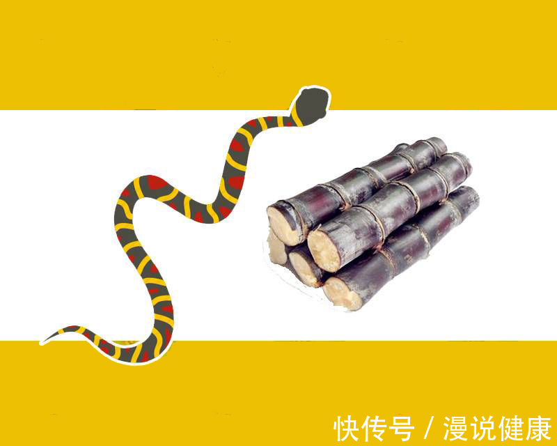 低血糖症|甘蔗的4大好处让人羡慕,但这类甘蔗可千万别吃!小心引发中毒