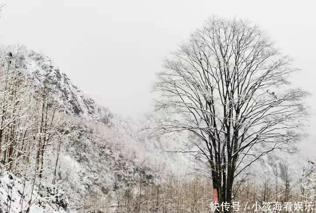 玩雪|绵阳最近的玩雪地，北川擂禹路“ 数千人”玩雪！