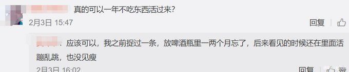 鲶鱼|男子把鲶鱼忘水缸1年没喂食,想起来一看难以置信:惊变“蝌蚪”