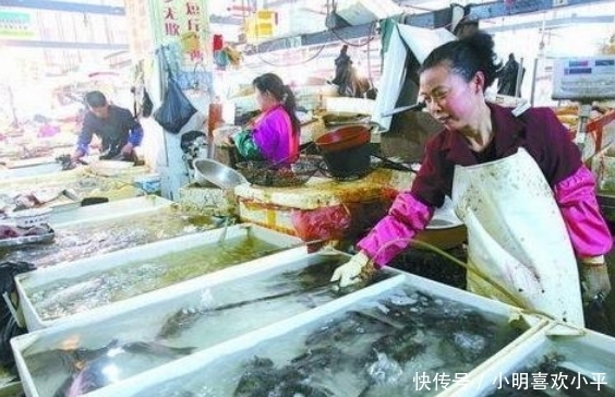 土腥味|鱼的“土腥味”和“柴油味”是哪来的?还能吃吗?今天一次说清楚
