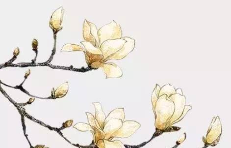 汴京|汴绣、汴京灯笼张、旗袍……市民考察团这次去了哪儿?