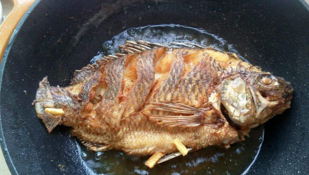 煎鱼|煎鱼时,第1步就倒油是大错特错多加这1步,鱼皮不破还不粘锅