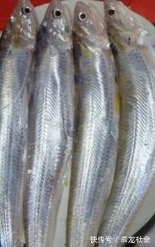 灭绝|这鱼以前泛滥成灾,如今却被人们吃到灭绝,一斤就要卖上万元!