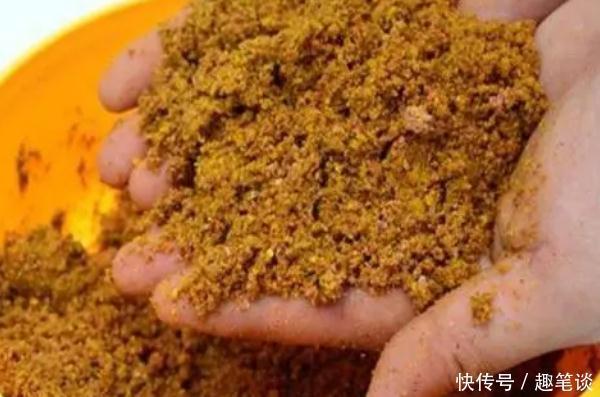 窝子|野钓经验谈之九 野钓鱼获看打窝 打窝也能打死窝