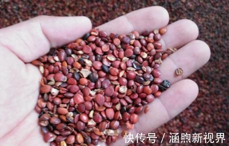 失眠|经常失眠怎么办这种宁心安神的食物,或会助你解决失眠!