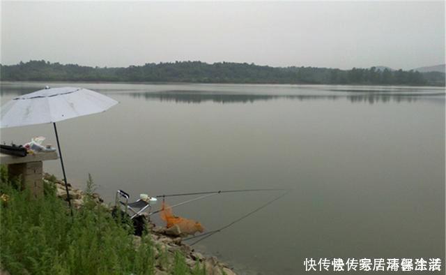 钓鱼人|野钓中的绝佳钓位,钓鱼人的必争之地,随便选哪个,渔获都有保证
