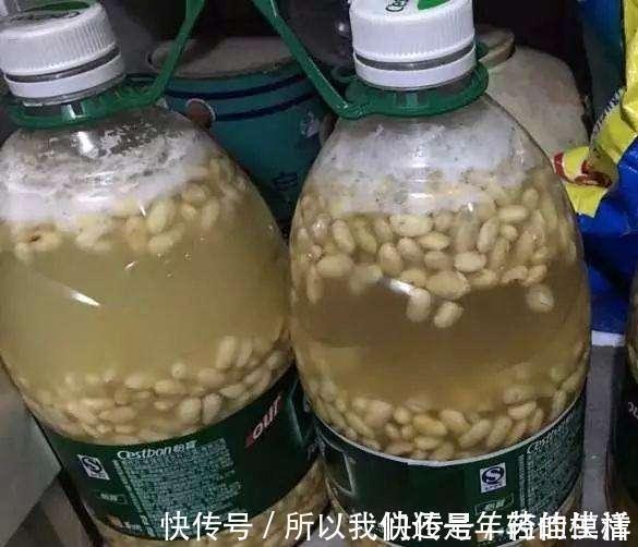 骨头|氮磷钾肥在家就能自制,方法简单肥效好,只要动动手肥料钱都省了