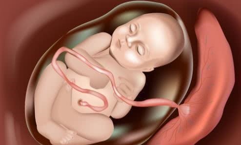 妊娠|剖腹产为何要在孕38周而不是40周别看只差两周,差距不是一点点