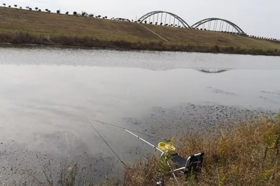 大板鲫|冬天一冷,大鲫鱼反而更好钓,二十年老司机:这套路多数人学不来