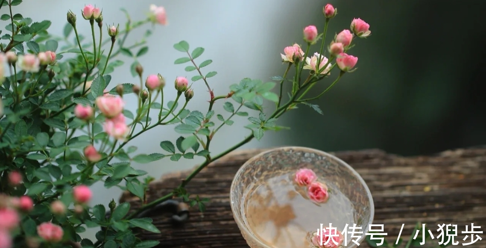 卓文君#卓文君《白头吟》:不卑不亢接纳自己的痛苦失败,再续白头之约