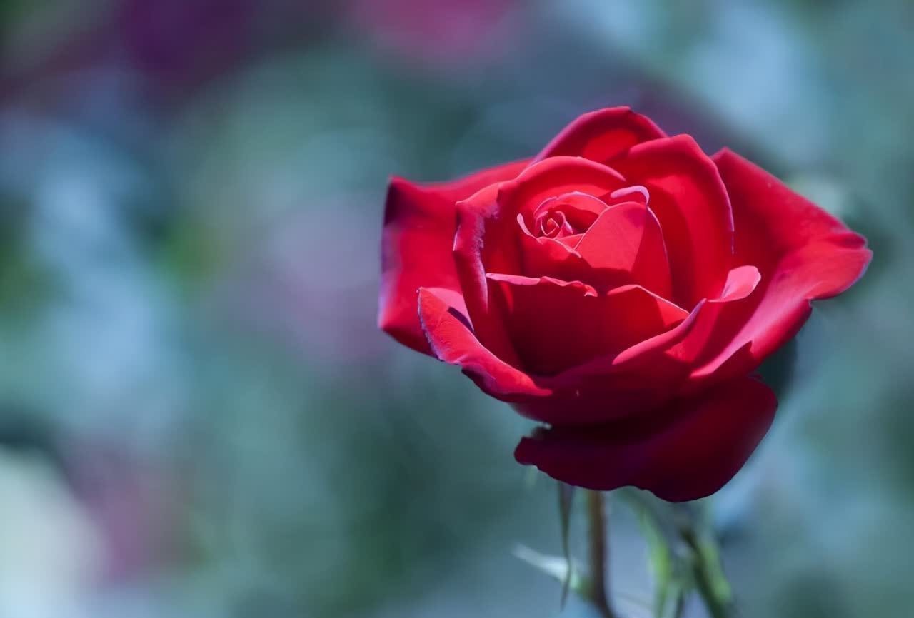 周国平&写给渐渐老去的中年人:余生最好的活法,不过只有三句话