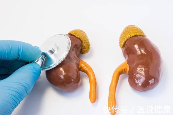 检查|身体若出现3个异常情况,建议你及时检查肾脏功能,肾或出问题了