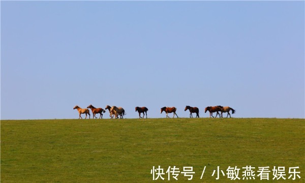 牧歌|初秋走进草原深处，聆听白云、碧草、河流奏响美妙牧歌