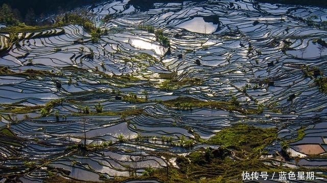 地球上最美的曲线，云南元阳哈尼七彩梯田！