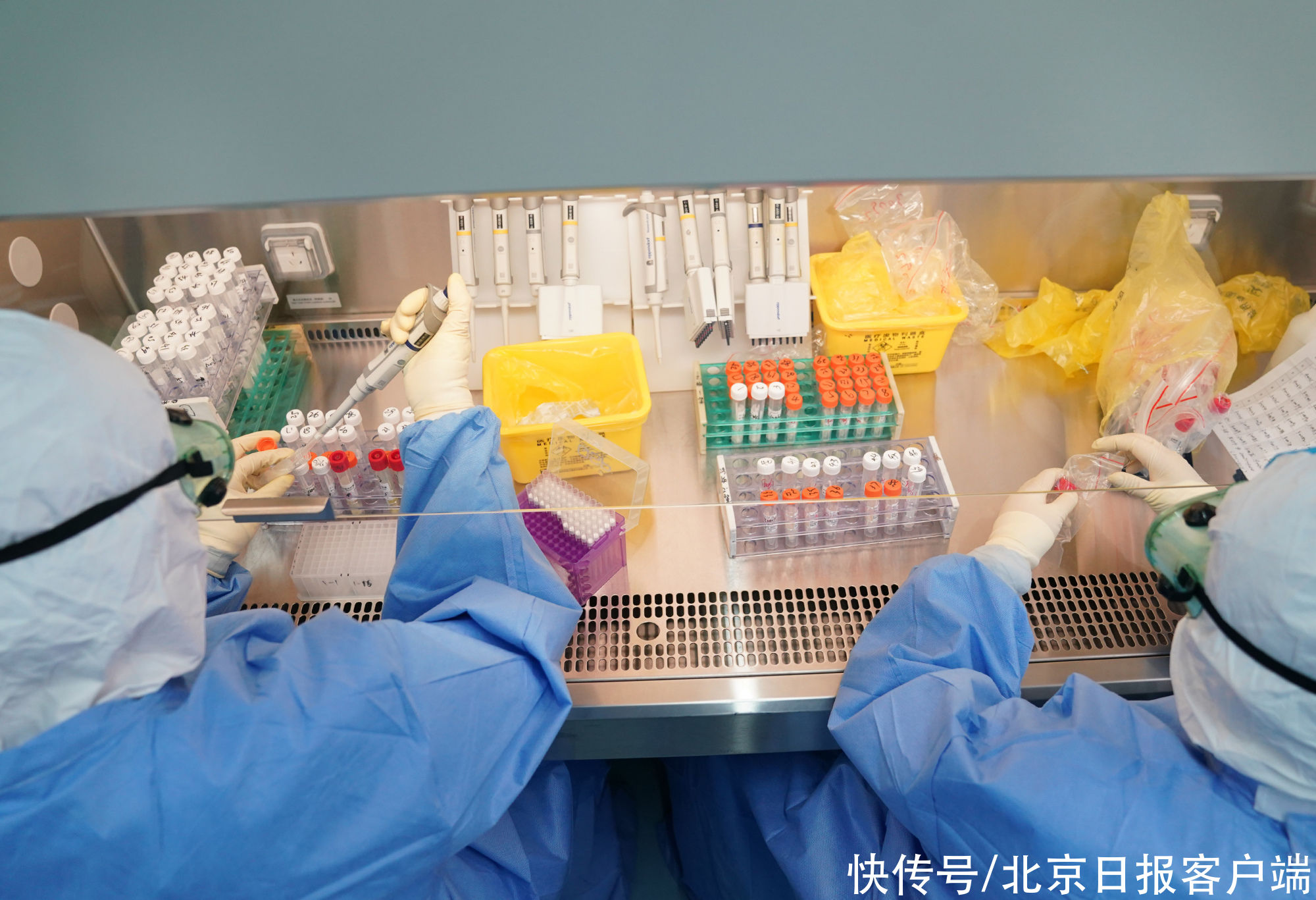 新冠肺炎|本土病例＋4，一地升级！三省市最新通报