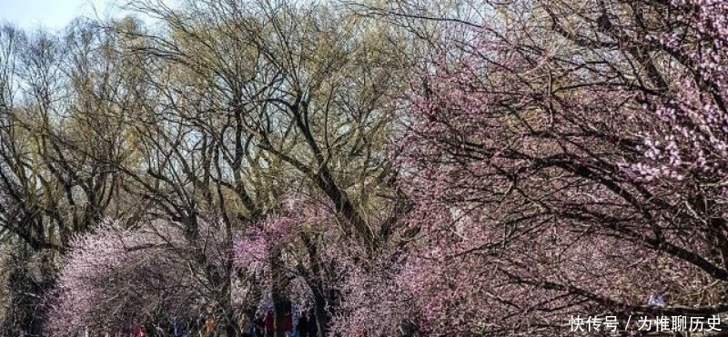 作品|范成大最经典的一首六言绝句,同样也被低估了,通篇美得令人心醉