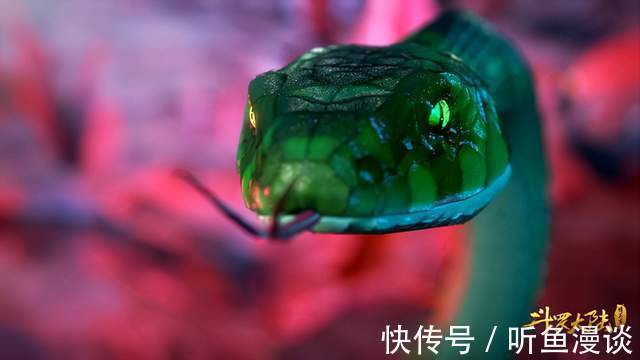 魂兽|盘点斗罗大陆中出现的十条蛇,九节翡翠倒数,谁才是第一?