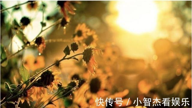 人生在世！人生在世，重要的其实就这两件事，懂了你就释然了