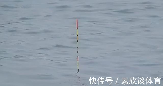 口诀|学会这三句口诀，浮漂一动就提竿，竿竿都有口