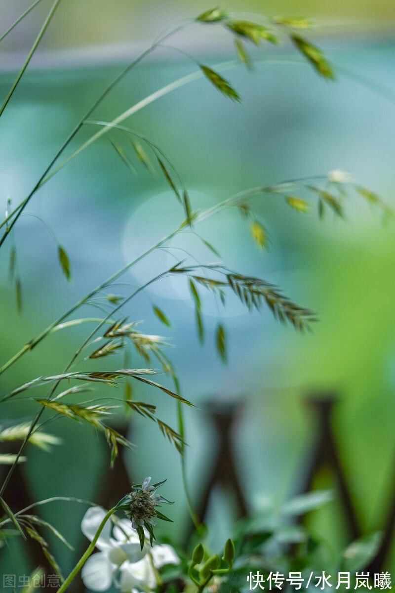 芳华#一世芳华，红颜白发，谁的浮生不若梦，谁的往事淡作烟