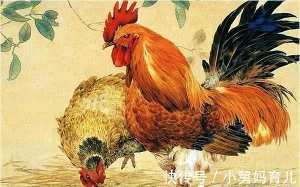 纳音山下火|1969年“鸡”的寿命多长，50岁后如何抉择？属鸡的花几分钟看看