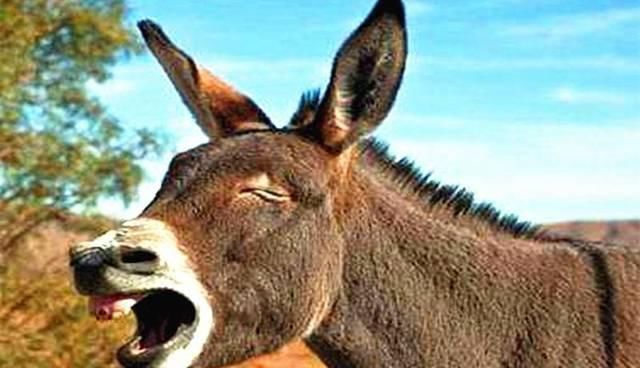 文学史|中国文学史上极为悲催的一幕,一场瘟疫,将“建安七子”悉数打尽