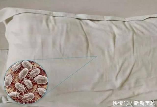 枕头全是螨虫教你一招,不用水洗,螨虫全消失