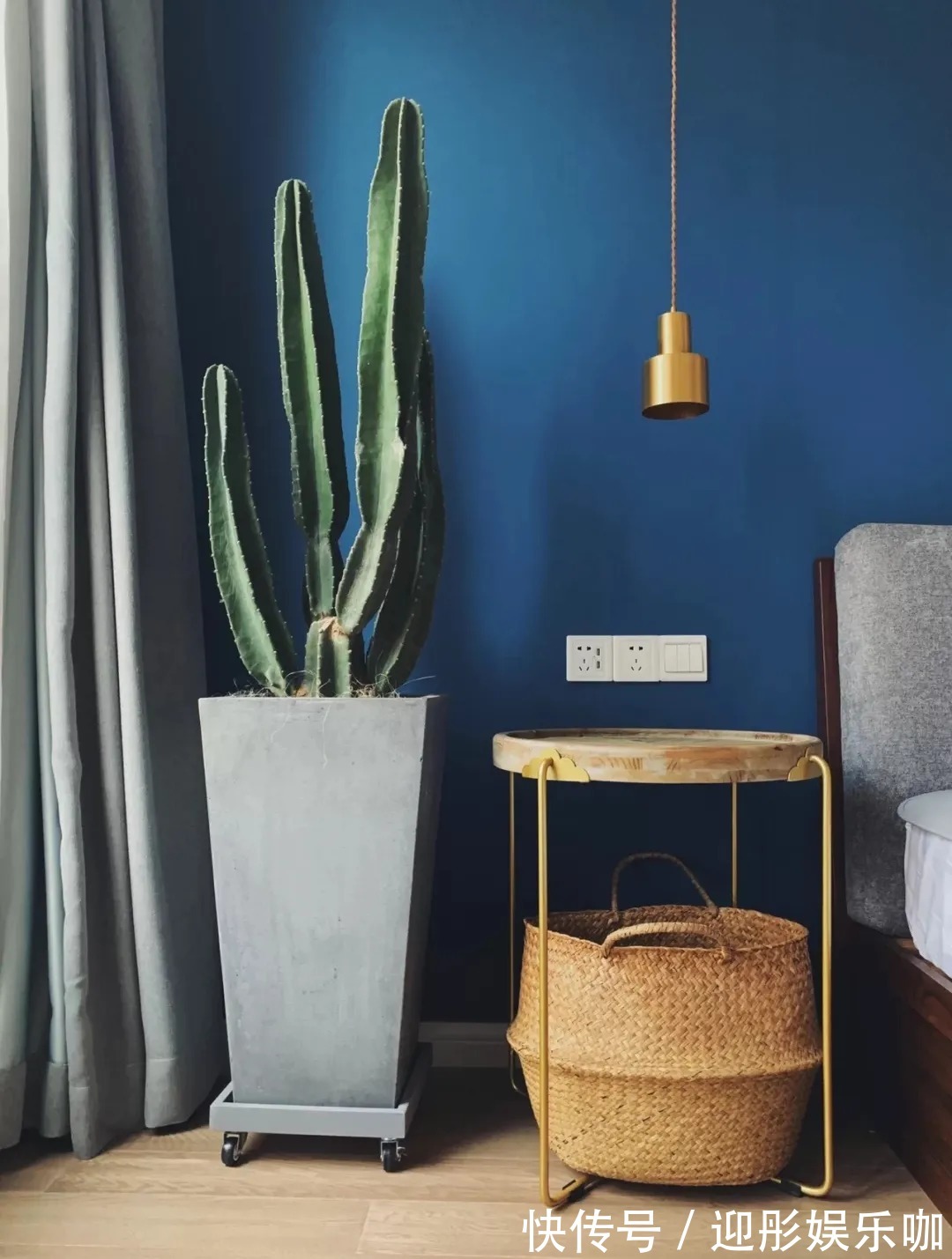 有植物的房子才是理想家！2021最受欢迎“网红绿植”推荐