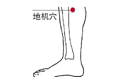 老中医|脾，后天之本！老中医带你品味人体脾经大药！补脾通络，胜吃补药