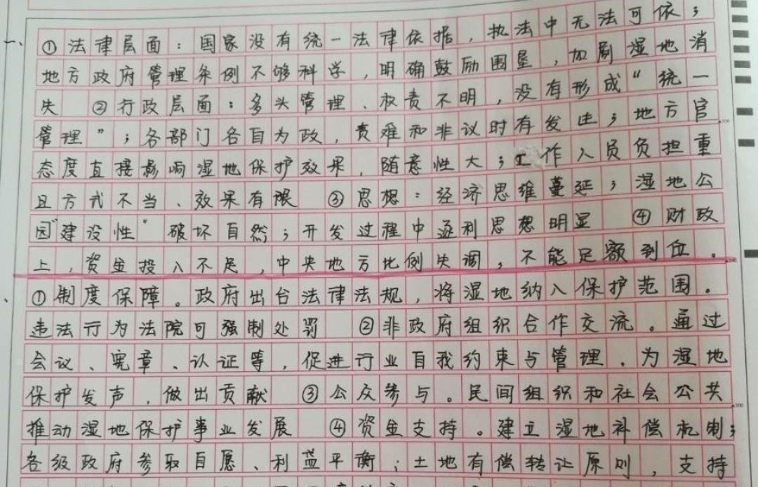 中文#学生“鲸落字体”又走红,字迹清晰唯美,阅卷老师都不舍得扣分
