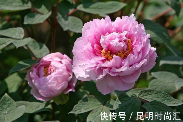 好命&俗话说:人在做天在看,多做4件“积德事”,必能一生好命多财!