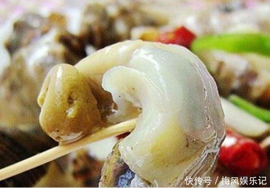 海边人才知道,海螺的尾部是“精华”还是“屎”,不懂别乱吃