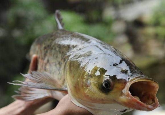 想要钓大鱼，就要记住这几个妙招，学会了你会有收获