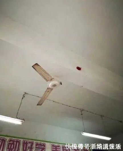 亲戚|悲剧!亲戚抛孩子玩“举高高”,8个月大婴儿被吊扇“收割”