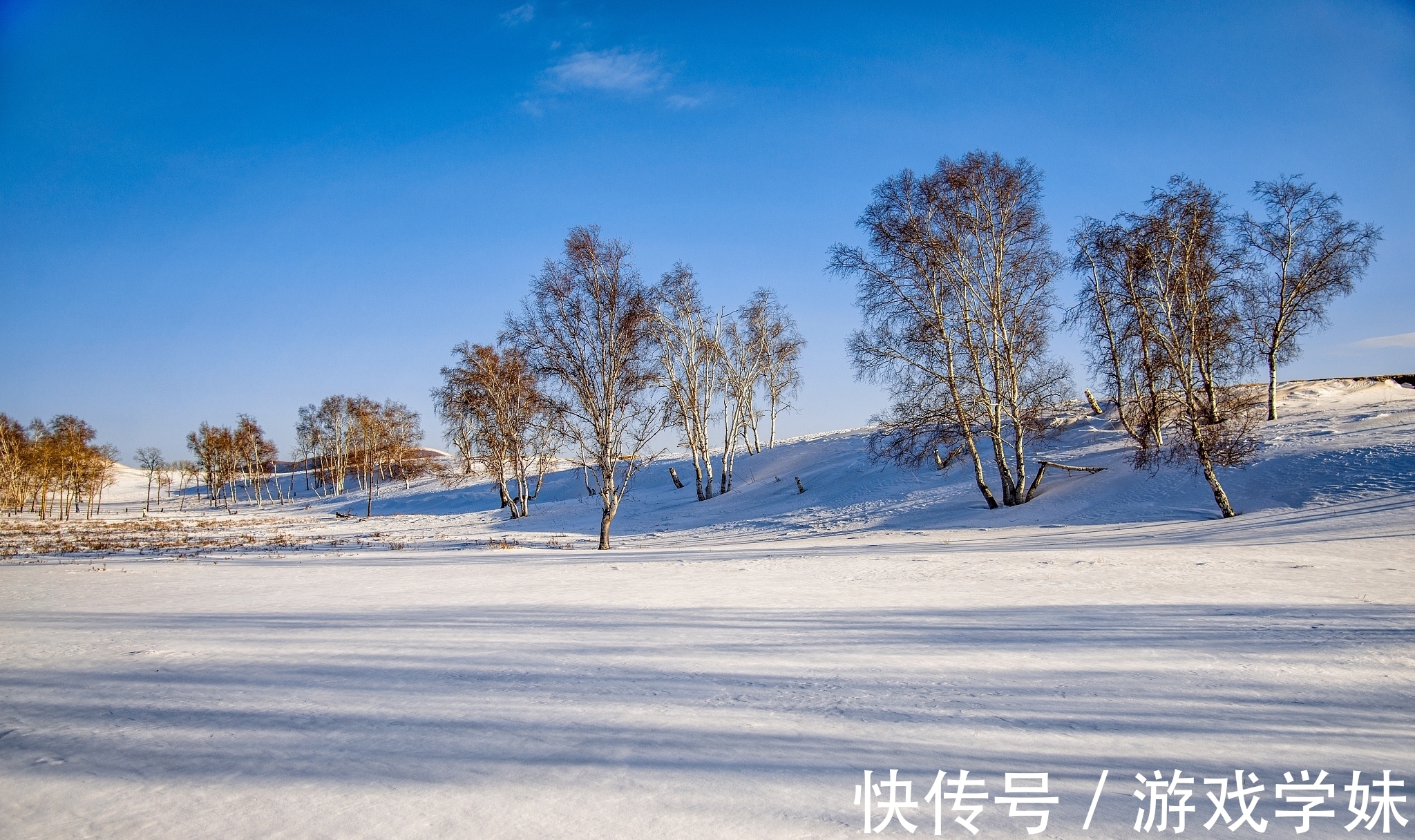 踏雪@大雪节气古诗六首赏读：此间大雪节，花放小桃枝