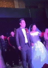 |搞笑GIF:铲屎的赶紧把我放了,否则我拆了你的后备箱