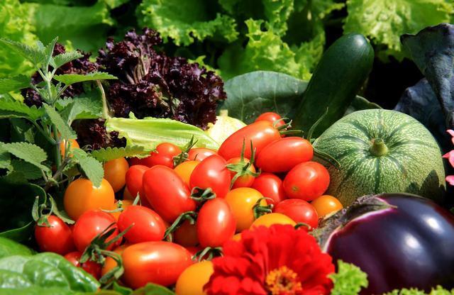 黄花菜|8种不宜常吃的蔬菜,南瓜排最后,排首位的不少人或许天天吃