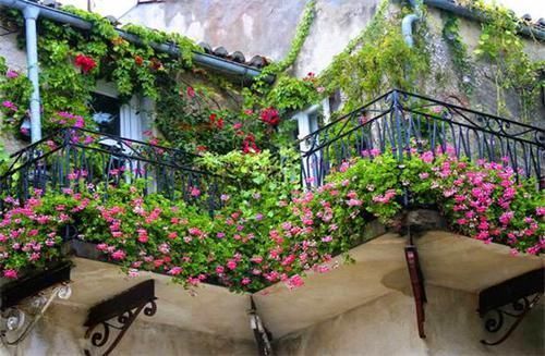 油桶|空油桶不要扔,在上面插两根吸管,放在阳台上,全家人都要抢着用