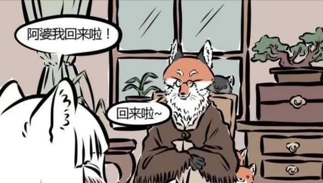 阿婆|非人哉:九月的设定是北极狐?品种和妲己差别好大