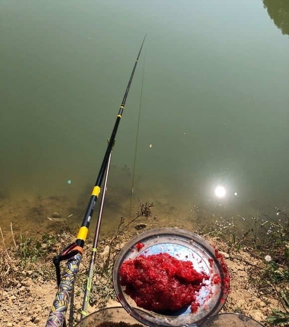 窝里鱼很多就是不开口?分析不开口原因,解决后大概率狂口!