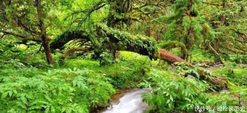 范成大|范成大最经典的一首诗，更是惊艳了世人800年，成为了千古名篇