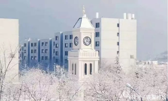 漫天寒凝洗尘襟，大外与你共风雪