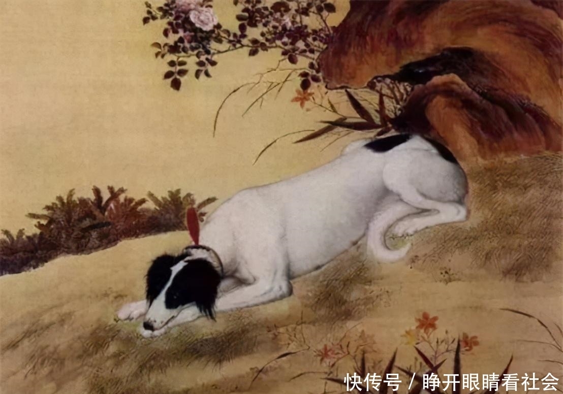 权倾天下|狗、狗肉、狂犬病与人类: 权倾天下的吕后怎会死于狂犬病?