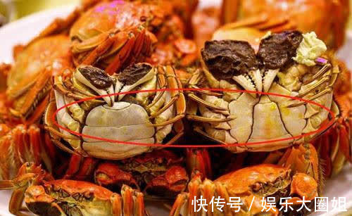 蟹肉|蒸螃蟹时,切记不要直接上锅蒸,多加1步,蟹肉鲜嫩入味不流黄