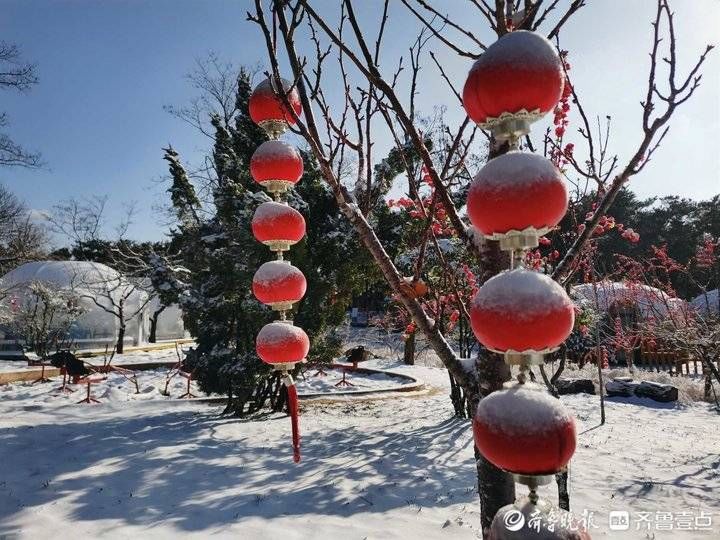 跑马岭|济南南山跑马岭迎来今冬第二场降雪！齐鲁雪乡美似童话