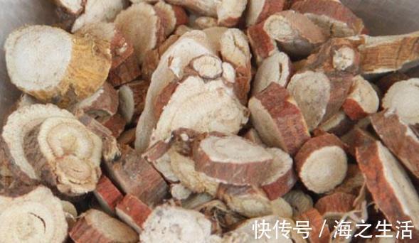 现象|常喝黄芪水能补气提神,但有很多禁忌需留意,不然小心适得其反!