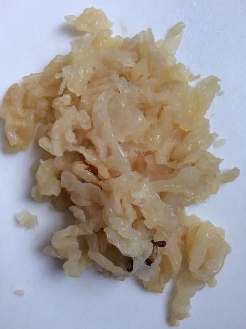 提高免疫力|建议女性：上了年纪多吃这种蔬菜，提高免疫力，比吃红枣强！