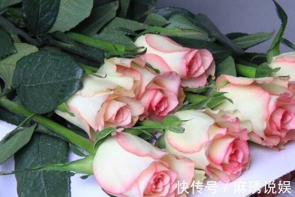 喜欢玫瑰,一定要养“精品玫瑰”红袖玫瑰,似红颜知己,十分妩媚