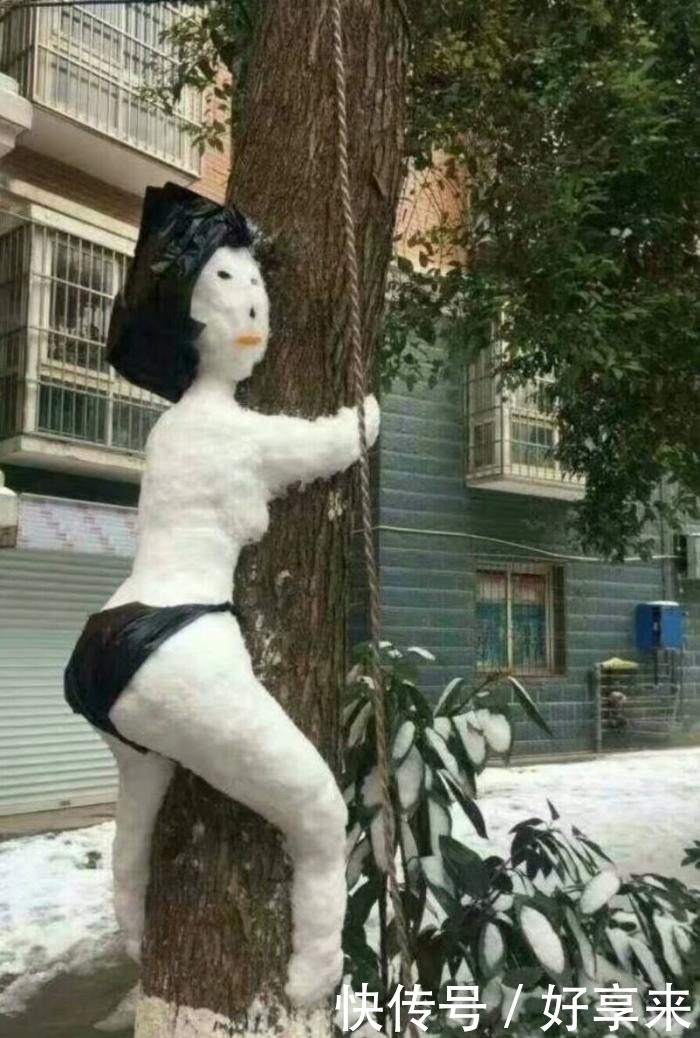 南方下雪都是这么兴奋的。网友直呼“被你们玩坏了”!