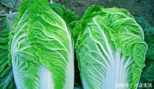 美容|有益健康的食物,男女坚持吃,清理血脂,软化血管,美容肌肤